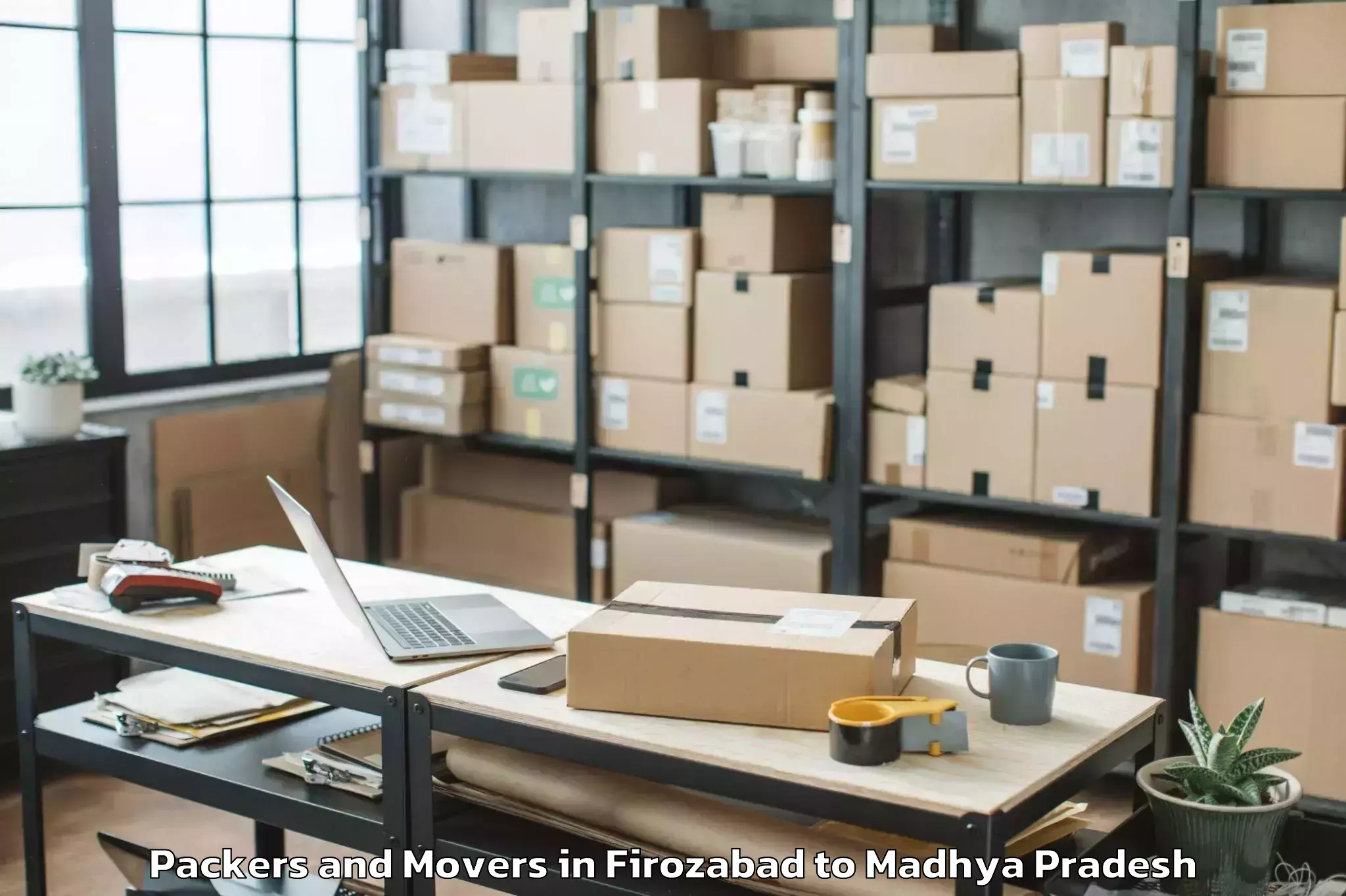 Reliable Firozabad to Punasa Packers And Movers